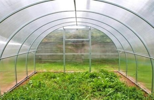 парник из поликарбоната купить